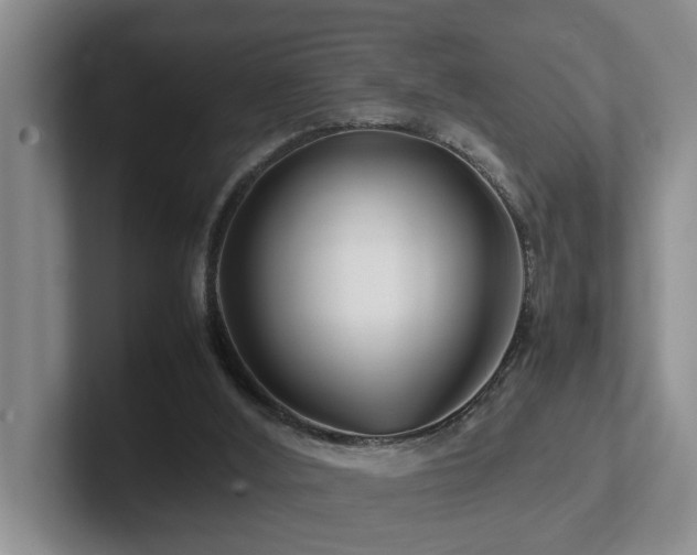 X0000102510012200808081419