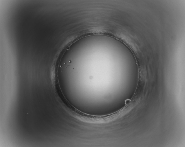 X0000102510015200808081419