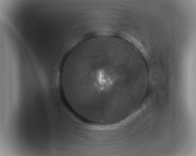 X0000102510017200808081419
