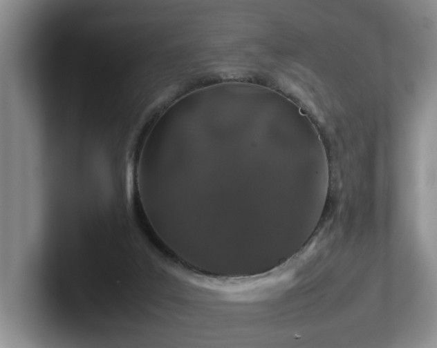 X0000102510019200808081419