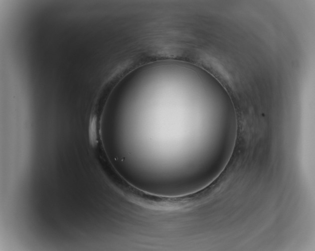 X0000102510020200808081419