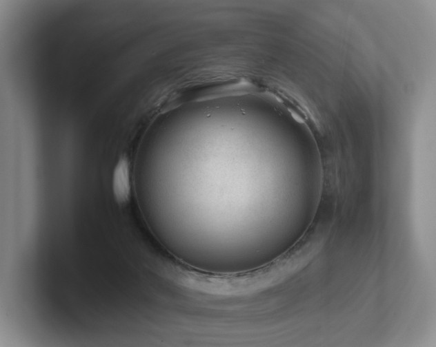 X0000102510022200808081419