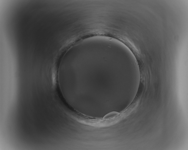 X0000102510023200808081419