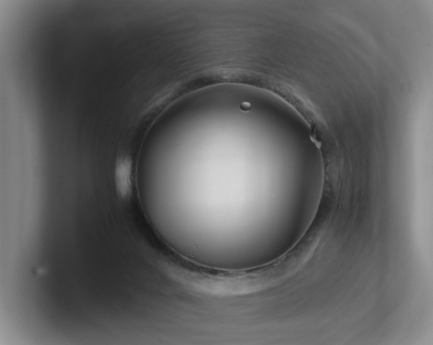 X0000102510024200808081419