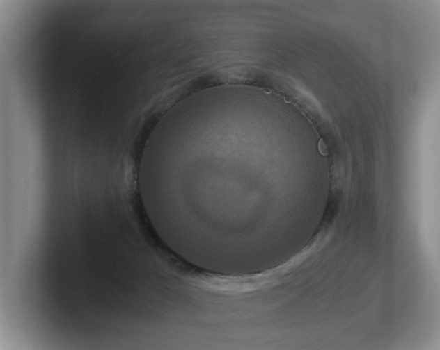 X0000102510029200808081419
