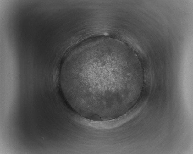 X0000102510030200808081419