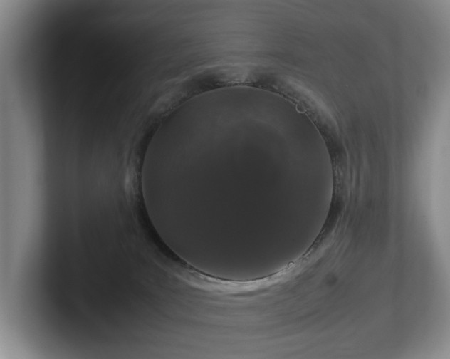 X0000102510035200808081419