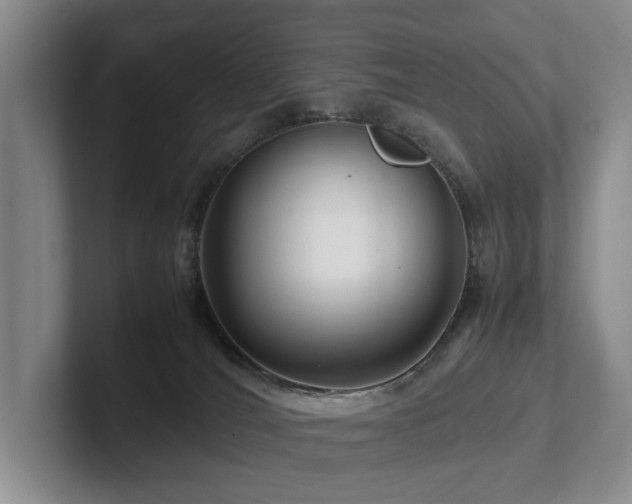 X0000102510036200808081419