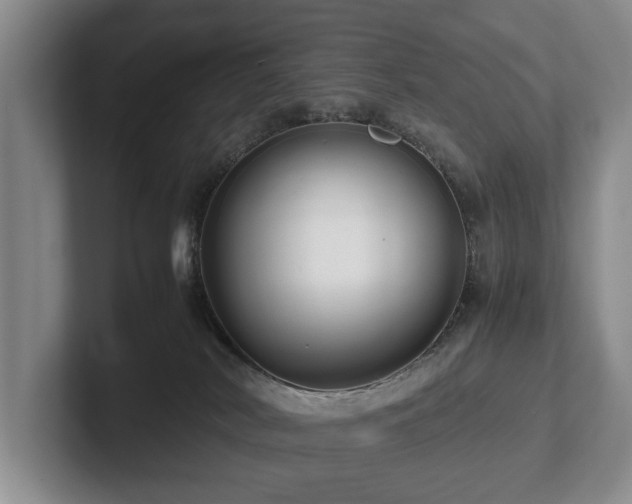 X0000102510038200808081419