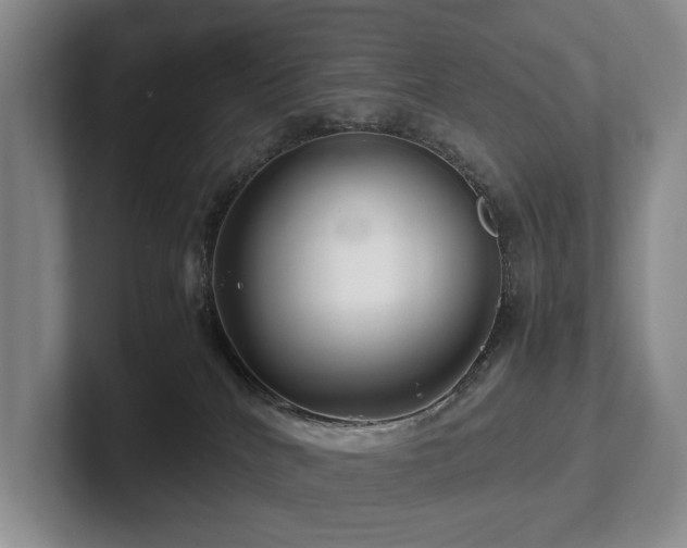 X0000102510040200808081419