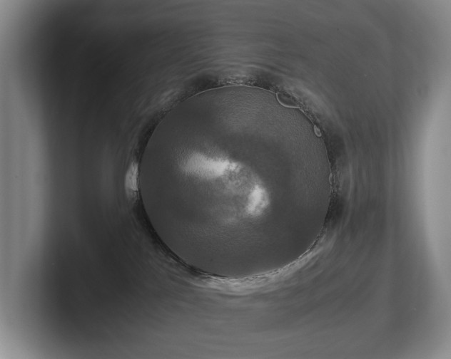 X0000102510041200808081419