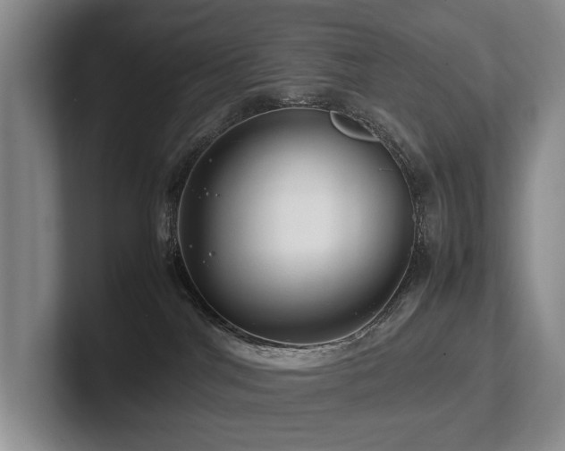X0000102510044200808081419