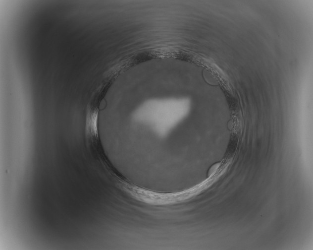 X0000102510047200808081419