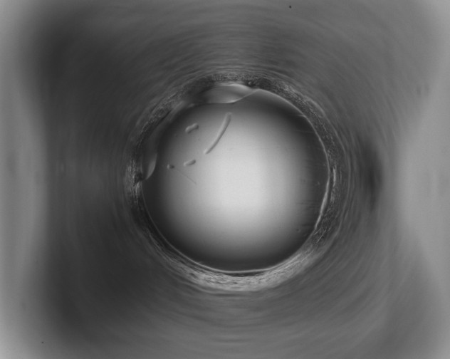 X0000102510048200808081419