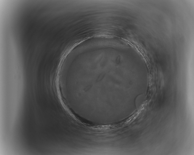 X0000102510049200808081418