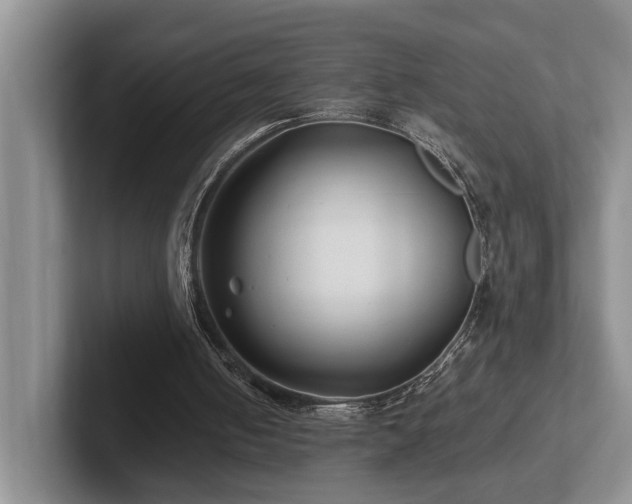 X0000102510050200808081418