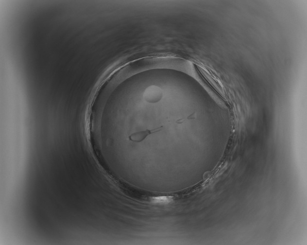 X0000102510053200808081418