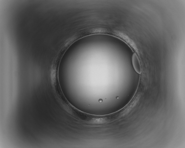 X0000102510057200808081418