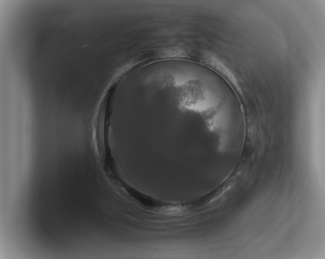 X0000102510059200808081418