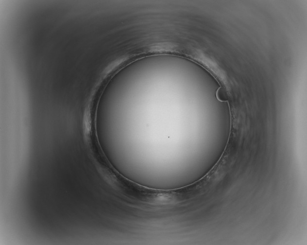 X0000102510060200808081418