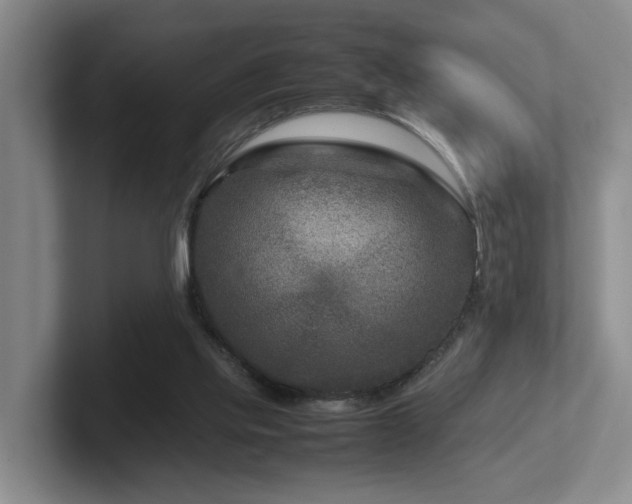 X0000102510061200808081418