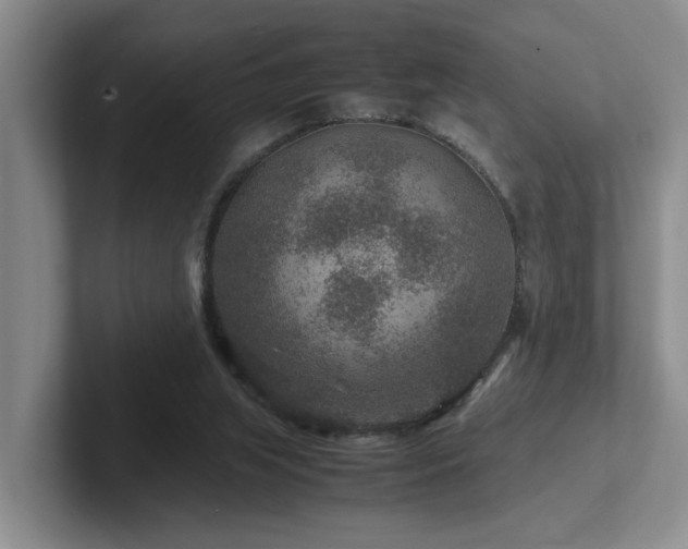 X0000102510063200808081418