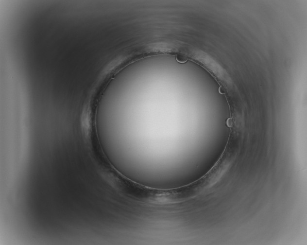 X0000102510064200808081418