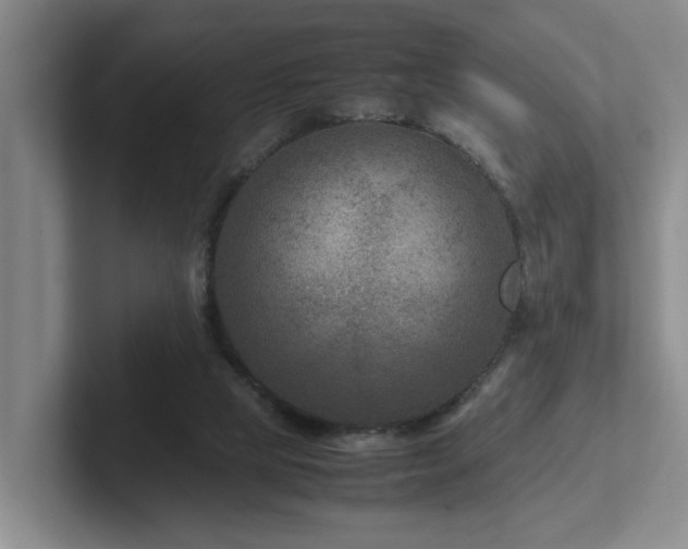 X0000102510065200808081418