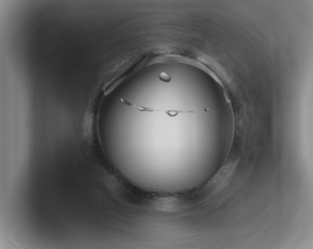X0000102510066200808081418