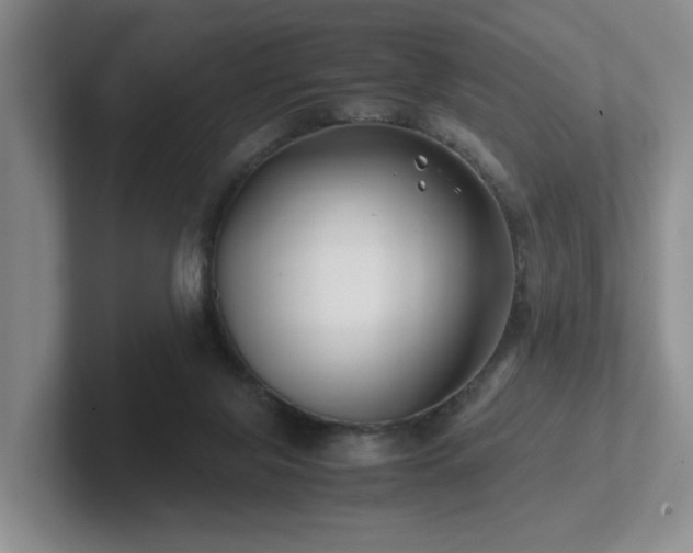 X0000102510071200808081419