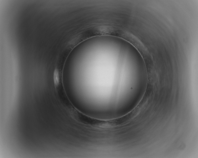 X0000102510075200808081419
