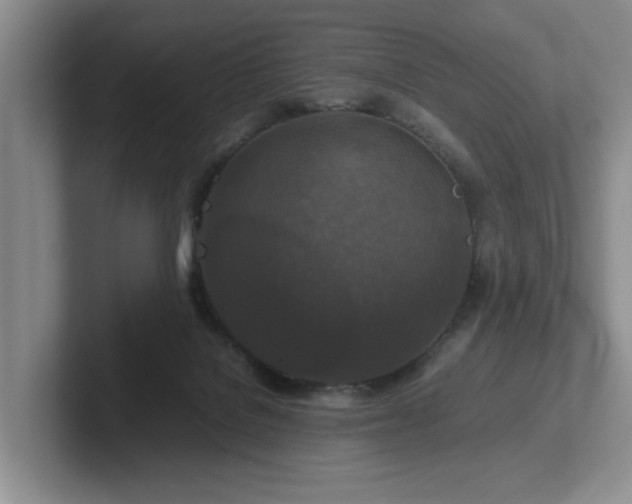 X0000102510076200808081419