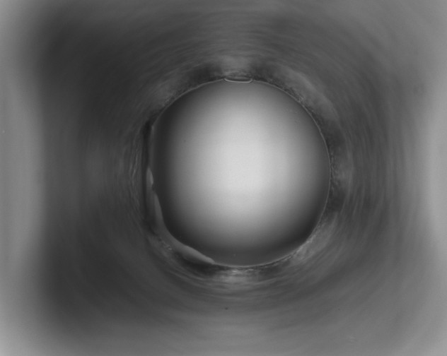 X0000102510082200808081419