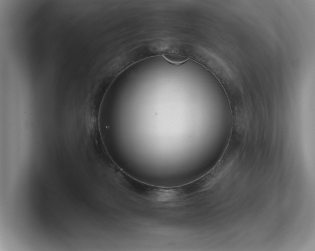 X0000102510085200808081419