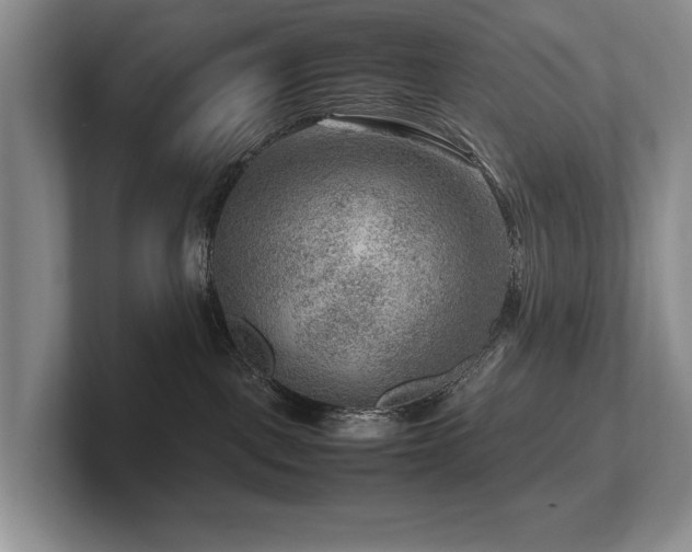 X0000102510093200808081419