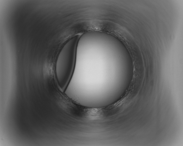X0000102510096200808081419