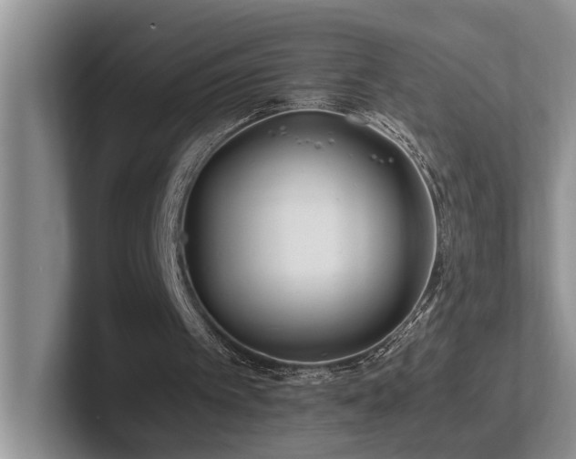 X0000102510097200808081418
