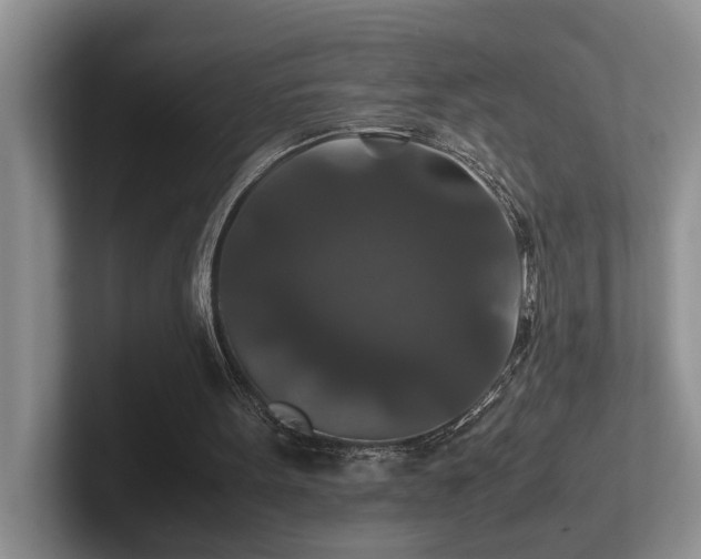 X0000102510099200808081418
