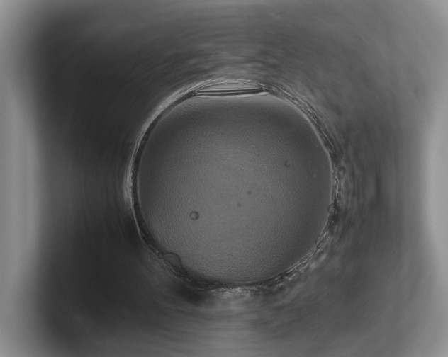 X0000102510100200808081418