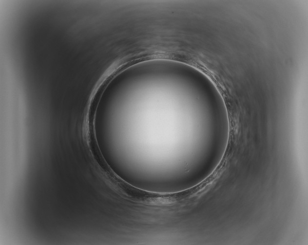 X0000102510102200808081418