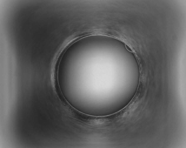 X0000102510103200808081418