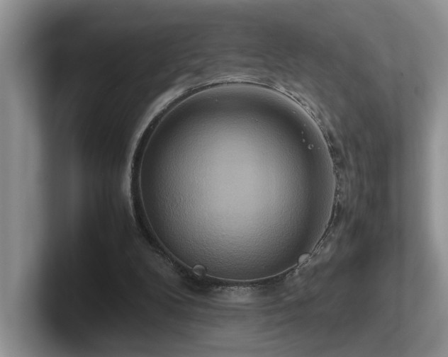 X0000102510104200808081418