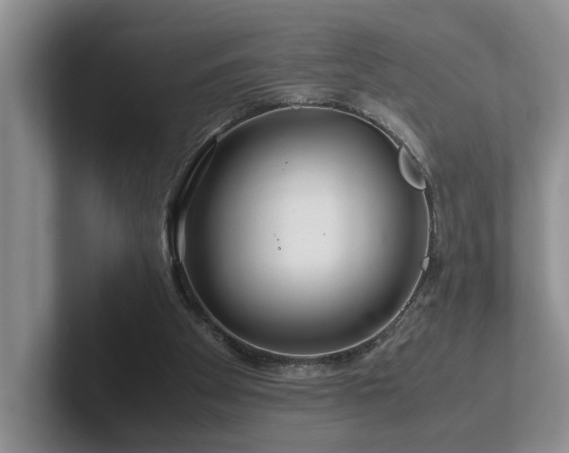 X0000102510105200808081418