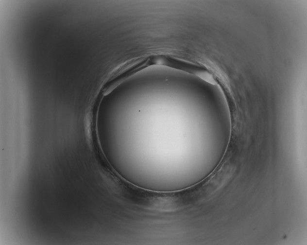 X0000102510107200808081418
