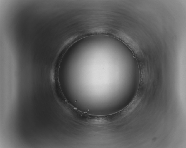 X0000102510112200808081418