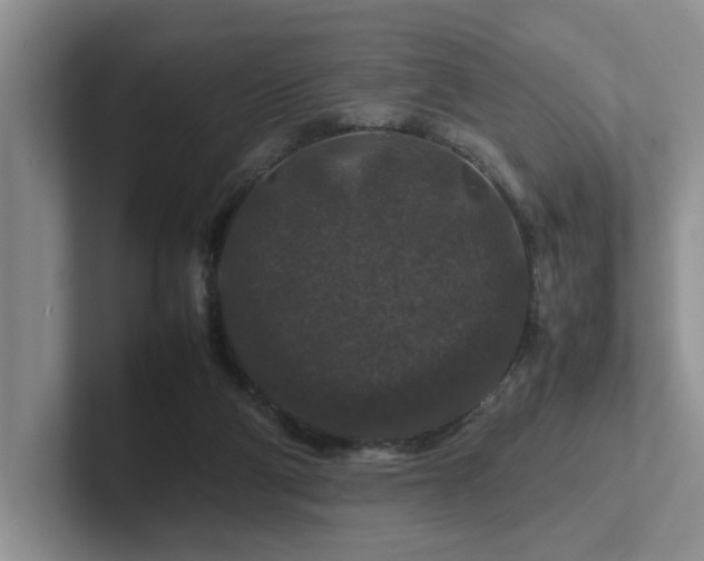 X0000102510114200808081418