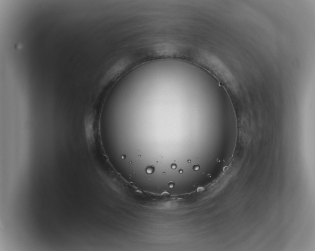 X0000102510116200808081418