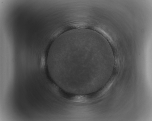X0000102510117200808081418