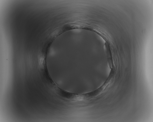 X0000102510127200808081418