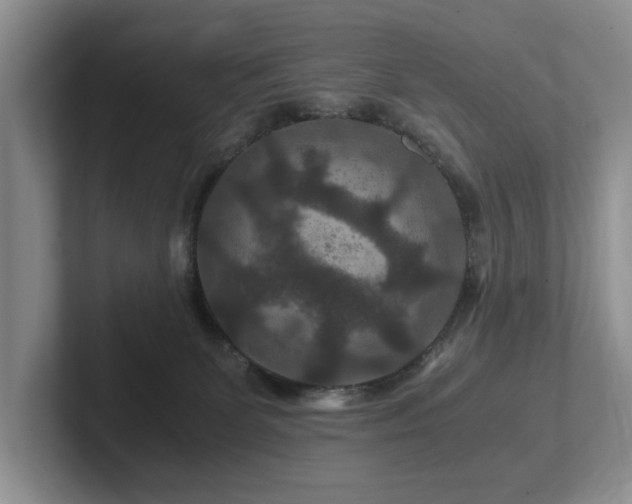 X0000102510131200808081418
